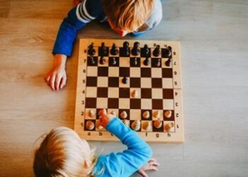 Шахматы добавят в образовательную программу в Грузии — Шахи