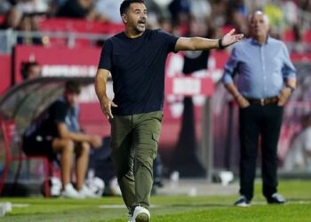 Мичел назвал главную проблему Довбика в команде