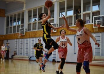 Полтава-Баскет– СумДПУ обіграла Переяслав: фотогалерея — Федерація баскетболу України