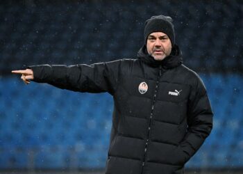 Шахтар — Антверпен: слова Маріно Пушича напередодні матчу | Єврокубки