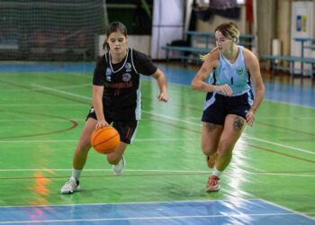 Жіноча Вища ліга: анонс матчів 8-11 грудня — Федерація баскетболу України