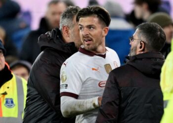 Семью звездного футболиста из АПЛ ограбили