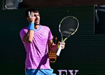 Нашествие пчел сорвало четвертьфинал на Индиан-Уэллс — Теніс