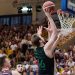 Андрій Войналович – бронзовий призер чемпіонату Польщі — Федерація баскетболу України