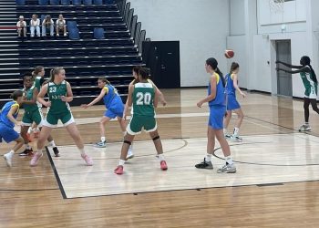 Жіноча збірна U-14 на турнірі в Таллінні: відеотрансляція матчу з Естонією — Федерація баскетболу України