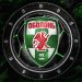 Українська Прем’єр-Ліга вітає «Оболонь» із днем заснування!