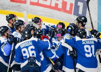 Сокіл здолав Крижинку в чемпіонаті України | Хокей |
