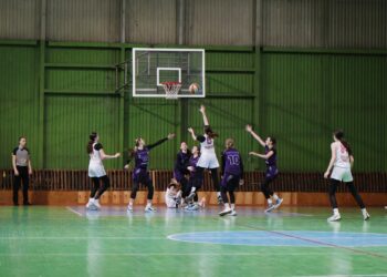 Чемпіонат України ВЮБЛ серед дівчат 2008 року: анонс фінального етапу — Федерація баскетболу України