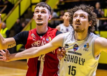 Харківські Соколи оголосили про підписання ще одного гравця — Федерація баскетболу України