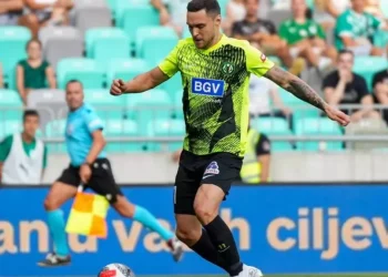 Олексій Гуцуляк хоче отримувати у Поліссі вдвічі більше – Бурбас – Футбол