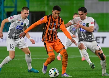 Шахтар Донецьк Полісся Житомир – анонс і прогноз на матч  туру УПЛ – Футбол