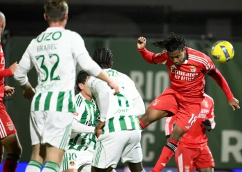 Судаков відзначився ефектним асистом у матчі за Бенфіку (ВІДЕО)  — Футбол