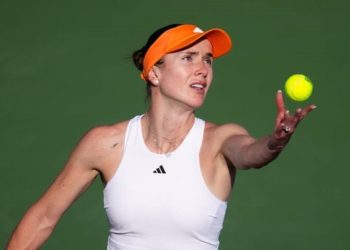 Свитолина в полуфинале турнира в Дубае — Теніс