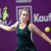 Украинский дуэт: Снигур вышла в полуфинал Transylvania Open — Теніс