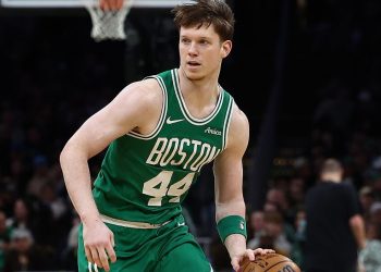 Українці за кордоном: Ткаченко набрав 20 очок в Хорватії, Шульга зіграв проти Пеліканс — Баскетбол